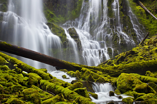 Proxy Falls in Oregon with mossy rocks and logs in the forest