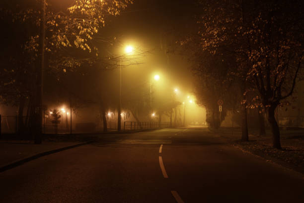 istock Close-up of a lit tree in the park at night 1052424056