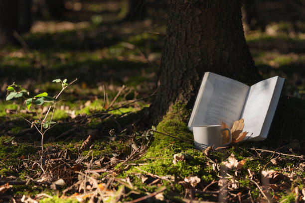 istock Open book with hot coffee and autumn leaves 1052428290