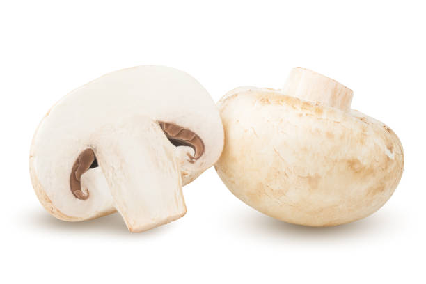 istock mushroom, champignon, isolated on white background, clipping path, full depth of field 1052439128