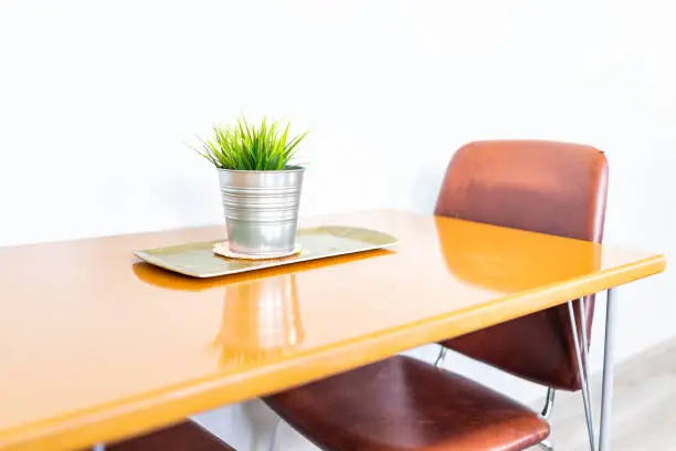 Green plant in small metal stainless steel modern flowerpot on wooden table, chairs in minimalist staged model house interior with bright light