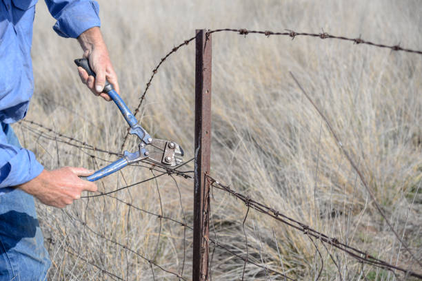 istock Farmers hands fixing an old fence and cutting wire 1052499886