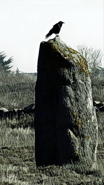 istock one raven illustration very dark - A bird on menhir 1052500052