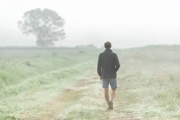 Back of young man walking in morning mist fog haze in countryside farm field on dirt road path, one tree, conceptual for hope, in summer