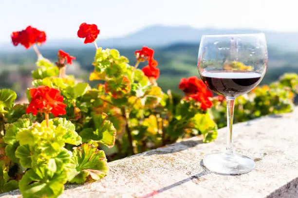 Macro closeup of glass of red wine on balcony terrace by red geranium flowers outside in Italy with mountain view in Chiusi, Umbria or Tuscany