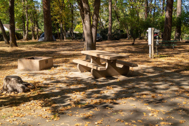 istock ADA Compliant campground spot with picnic table and firepit 1052504840