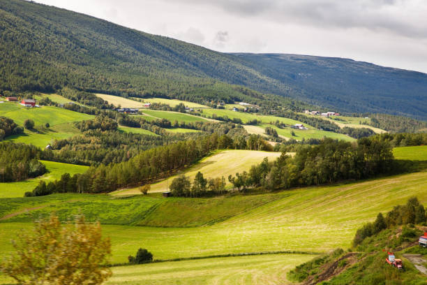 Paesaggio in Norvegia - foto stock