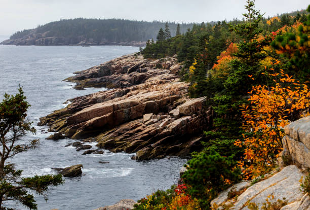 istock Rocky coastline in Acadia NP with autumn colors 1052514574