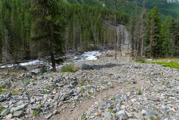 istock Altai Mountains. The Shawla River. Siberia, Russia. 1052536528