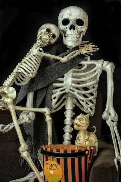istock Halloween Skeletons getting ready to go trick or treating 1052537008