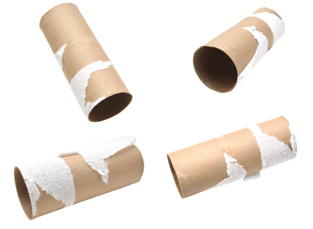 istock set of empty toilet paper rolls 1052540970