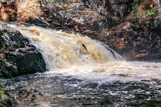 istock Falls of Shinn 1052601052
