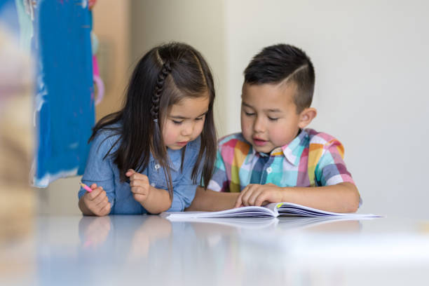 istock Two young siblings do homeschooling together at their desk 1052667744