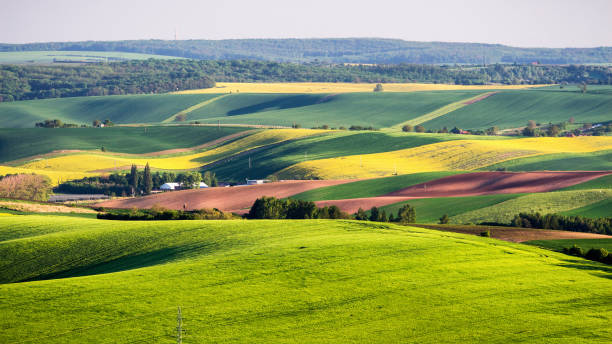 istock Endless Green Fields, Rolling Hills, Tractor Tracks, Spring Landscape under Blue Sky. South Moravia, Czech Republic 1052766946