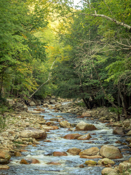 istock Picturesque Green Mountain Vermont Lye Brook 1052787648