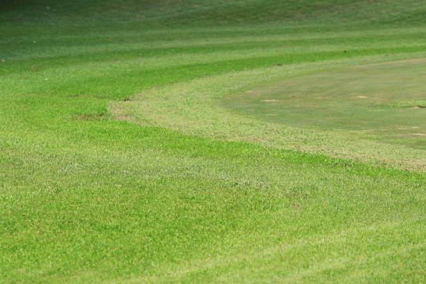 istock Perfect grass golf course field at hk 1052790282