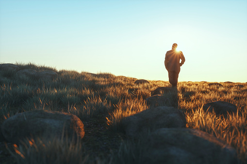 Senior businessman walking in the meadow at sunset.