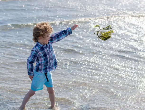 A young boy in blue shorts and shirt throws seaweed in the water at the beach on a sunny day