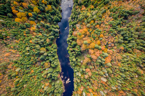 Aerial View of Boreal Forest Nature and River in Autumn Season, Quebec, Canada