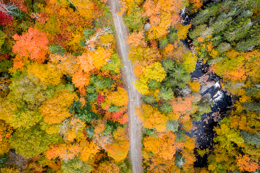 Aerial View Empty road leading trough beautiful colorful autumn forest in sunny fall