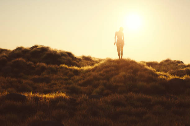 istock Gaea walking in the meadow at sunset 1052824726