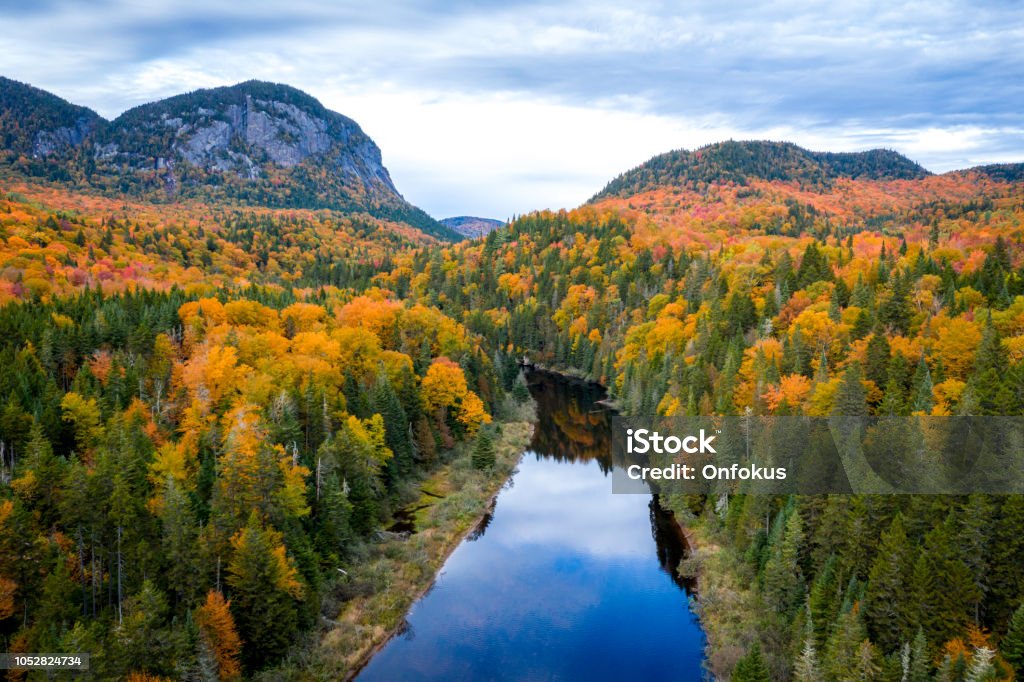 Aerial View of Boreal Forest Nature in Autumn Season, Quebec, Canada Aerial View of Boreal Forest Nature and River in Autumn Season, Quebec, Canada Canada Stock Photo