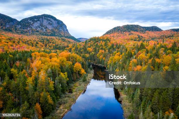 Aerial View Of Boreal Forest Nature In Autumn Season Quebec Canada Stock Photo - Download Image Now