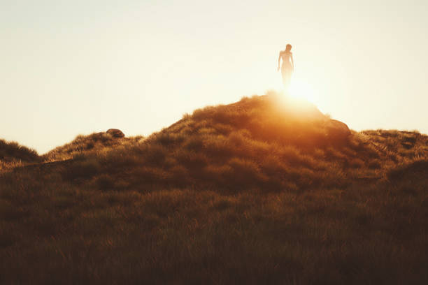 istock Gaea walking in the meadow at sunset 1052825778