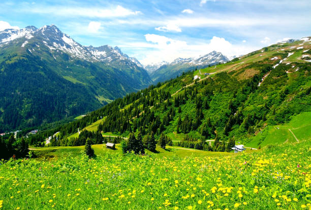 Alps, Mountains, Forest, Meadows, Nature and Mountain Landscape, Federal State Vorarlberg, Bezirk Bludenz