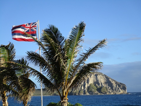 The Hawaiian flag fly's on a nice sunny day in-between two palm trees with Rabbit Island in the background.