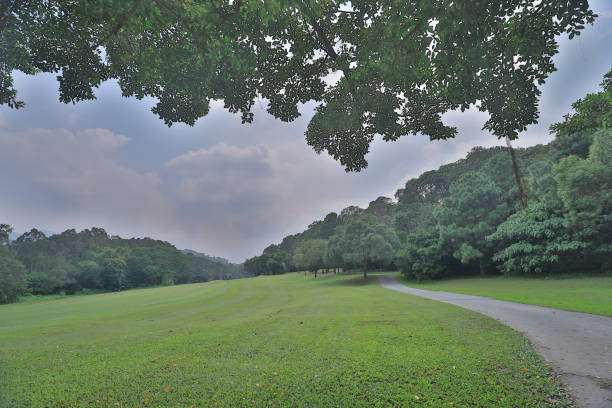 istock walk way and green field at golf club 1052876410