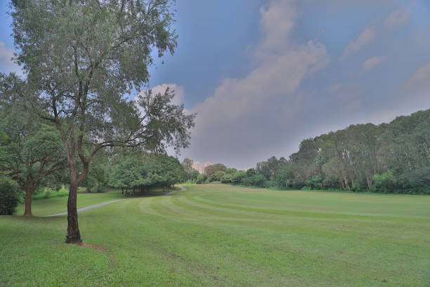 istock country Club golf course in Hong Kong 1052876730