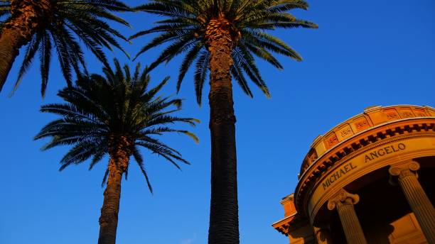istock palm trees against clear blue skies 1052876918