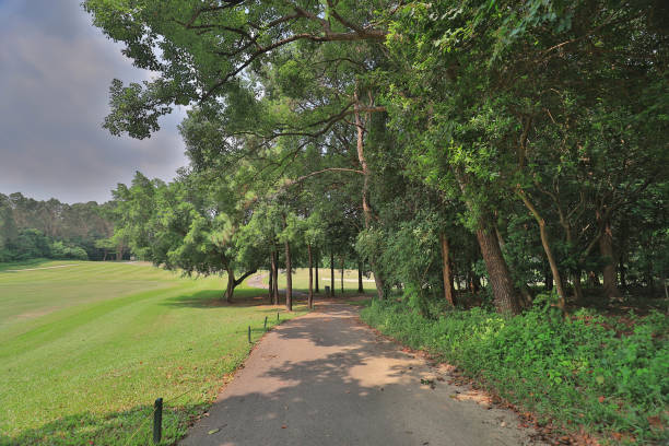 istock walk way and green field at golf club 1052879616