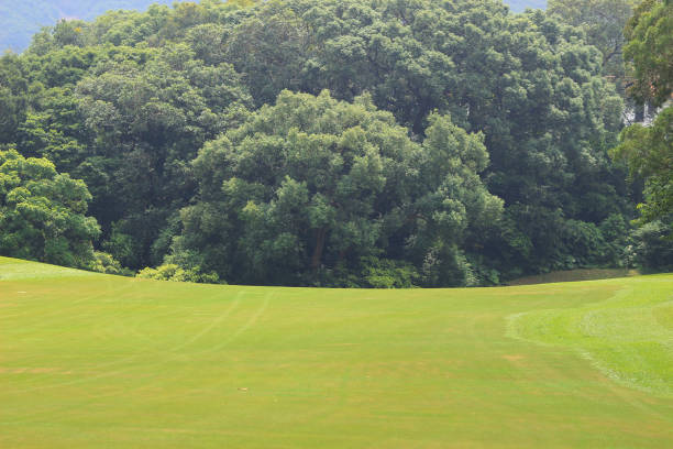 istock Perfect grass golf course field at hk 1052881780