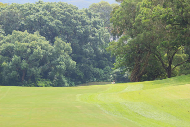 istock Perfect grass golf course field at hk 1052881788