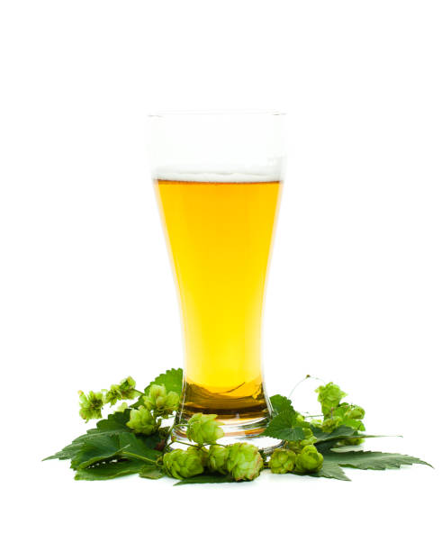 istock Beer glass on white. Beer and hops 1052916522
