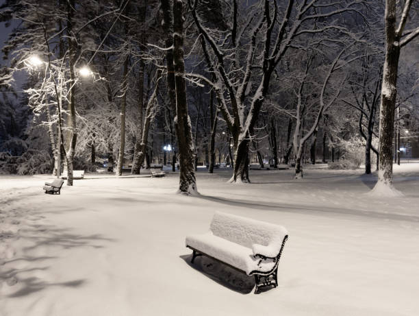 istock Night winter park in Lviv, Ukraine 1052917930