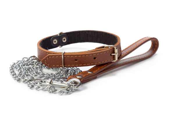 Dog leash isolated on white. close up