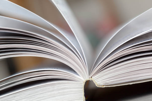 istock Close up opened book page with blurry background 1052926776