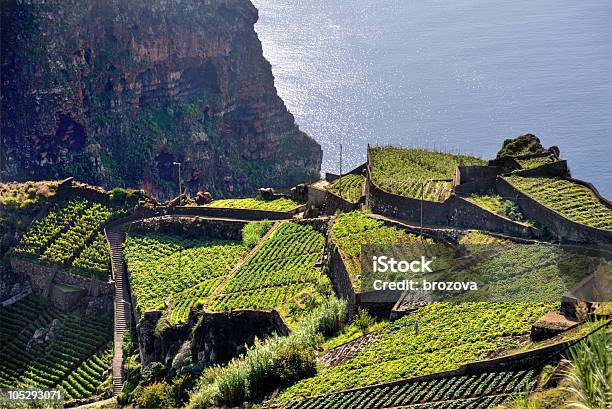 Aerial View Of Southern Coast Of Madeira Island Portugal Stock Photo - Download Image Now