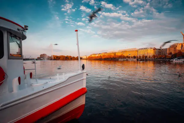 Traditional steamer boat on Alster Lake in foreground. Golden autumn light at sunset. Seagulls circling over water. Hamburg, Germany.