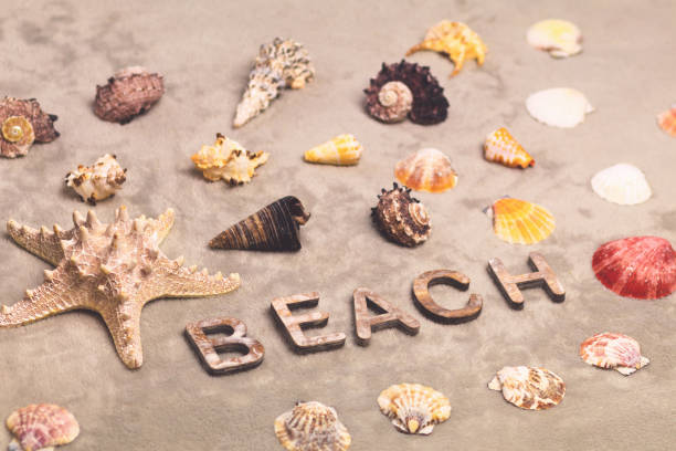 istock Beach, candles and seashells on a gray background 1052965356
