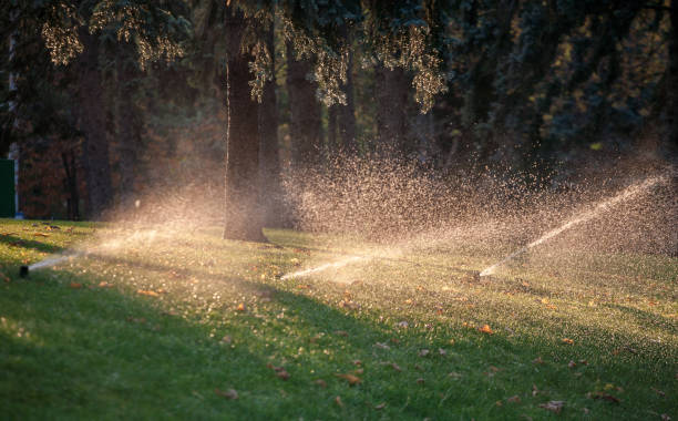 istock Automatic sprinkler watering in the garden 1052969680