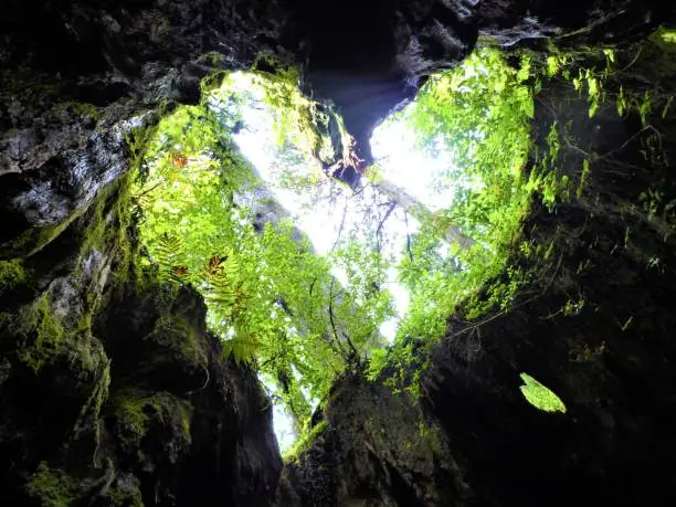 kagoshima yakushima japan beautiful landscape