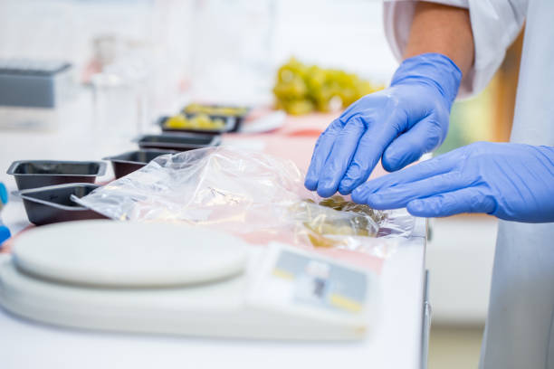istock Researcher Squeezing Grapes in Plastic Bag to get Grape Juice for Research 1052980862