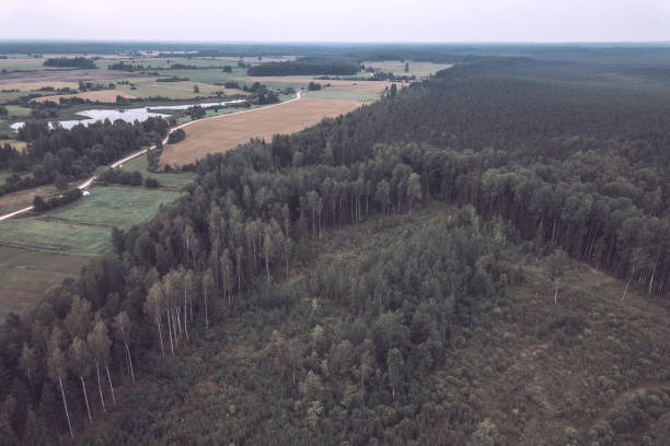 istock drone image. aerial view of rural area with fields and forests under dramatic storm clouds forming - vintage retro look 1052990626