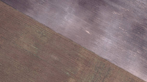 istock drone image. aerial view of rural area with fields and lonely trees. textured background - vintage retro look 1052990772
