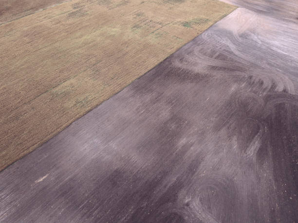 istock drone image. aerial view of rural area with fields and lonely trees. textured background - vintage retro look 1052990840