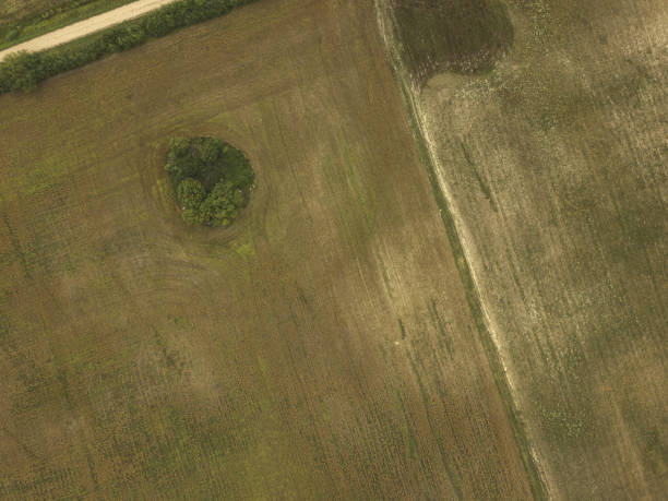 istock drone image. aerial view of rural area with fields and lonely trees. textured background - vintage retro look 1052991000